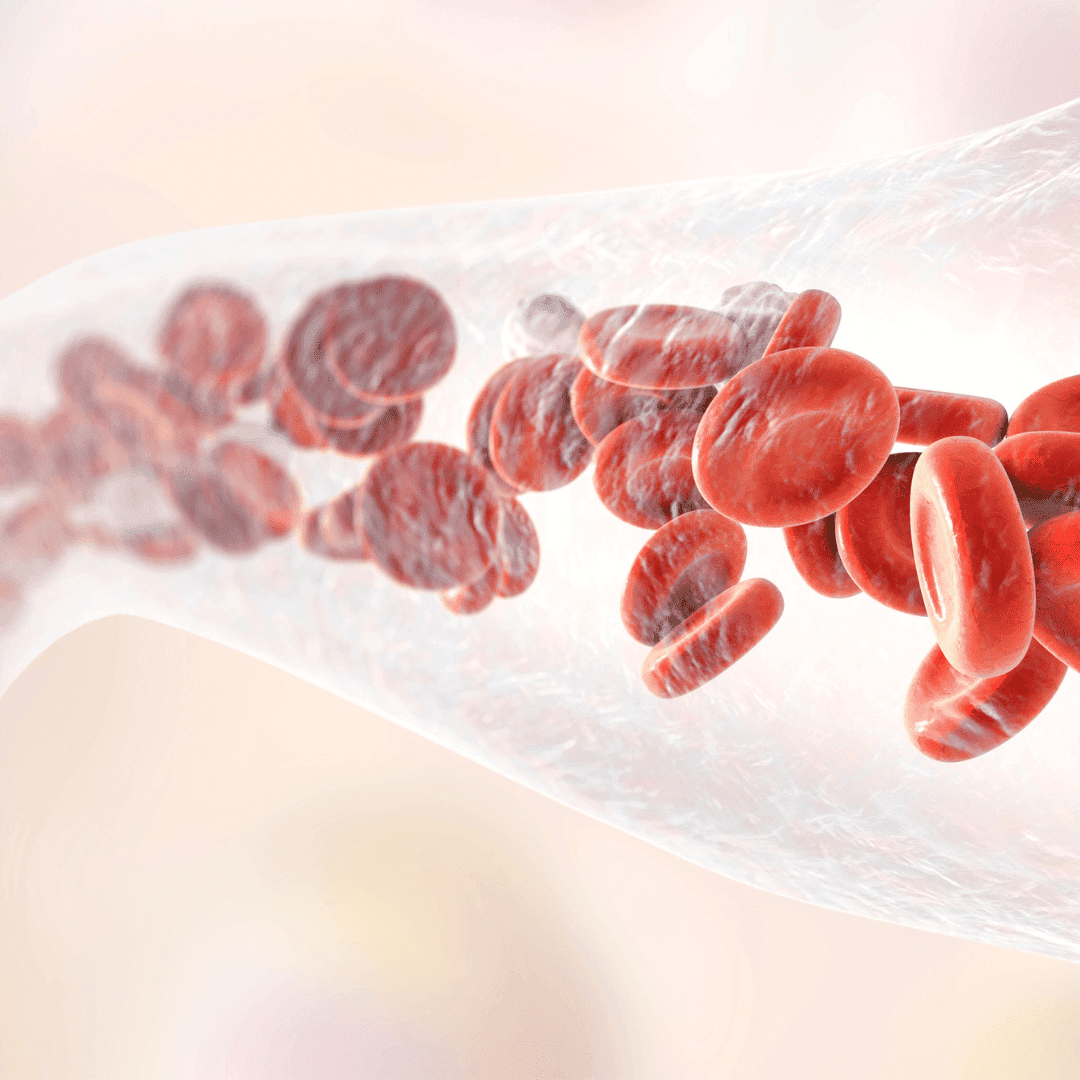 AF8-1 Arterial Formulation to clear the arteries